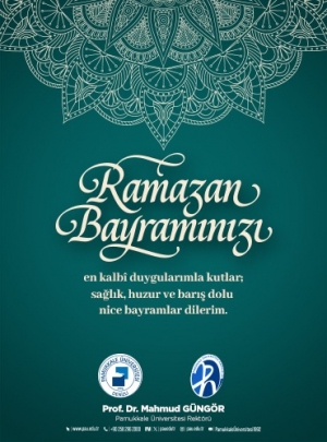 pamukkale üniversitesi