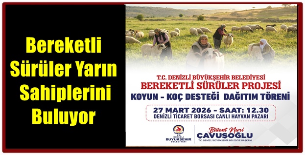 Denizli Büyükşehir, 582 Üreticiye 1200 Adet Koyun-Koç Dağıtacak 