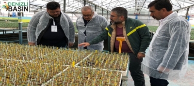 Başkan Arslan Fide Üretim Tesislerini Gezdi