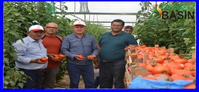 BAŞKAN'IN UĞRAŞI İLK HASADINI VERDİ