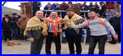 Binlerce kişi 34. Geleneksel Sarayköy Deve Güreşleri Festivali’nde buluştu