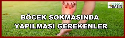 BÖCEK SOKMALARINA KARŞI İLK YAPILMASI GEREKENLER