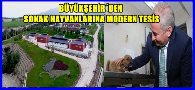Büyükşehir'den Sokak Hayvanlarına Modern Tesis