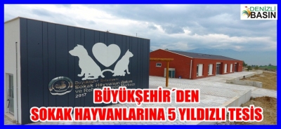 BÜYÜKŞEHİR´DEN SOKAK HAYVANLARINA 5 YILDIZLI TESİS