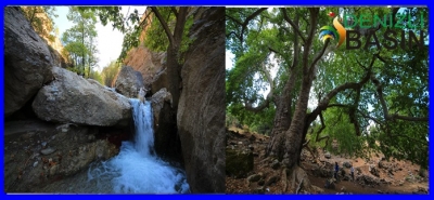 ÇAMELİ BAYRAMDA DOLDU TAŞTI