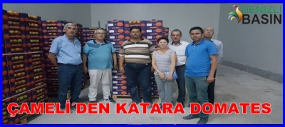 ÇAMELi'DEN KATAR'A DOMATES