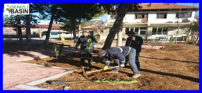 ÇEVRECİ BAŞKAN TÜM İLÇEYİ AĞAÇLANDIRIYOR