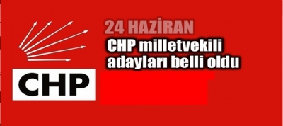 CHP DENİZLİ MİLLETVEKİL ADAYLARI