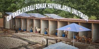 CW Enerji, Yaralı Sokak Hayvanlarının Yuvasını GES’ledi. 
