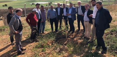 CW Enerji Yeşile Yatırım Yapıyor