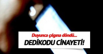  DEDİKODU CİNAYETİ