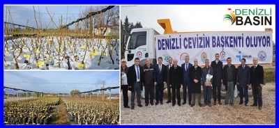 “Denizli Cevizin Başkenti Olacak” Projesi Start Aldı