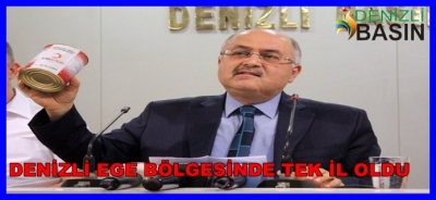 DENİZLİ EGE BÖLGESİNDE TEK İL OLDU