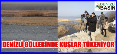 DENİZLİ GÖLLERİNDE KUŞ SAYISI AZALIYOR