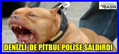 DENİZLİ´DE PİTBUL POLİSE SALDIRDI