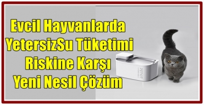 Evcil Hayvanlarda Yetersiz Su Tüketimi Riskine Karşı Yeni Nesil Çözüm