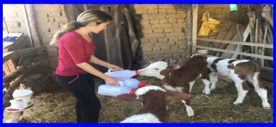 Genç Çiftçi Hibe Projesi Yüzleri Güldürdü