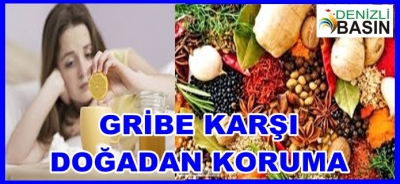 Gribe Karşı Doğadan Koruma