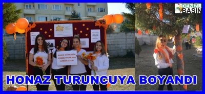 HONAZ TURUNCUYA BOYANDI