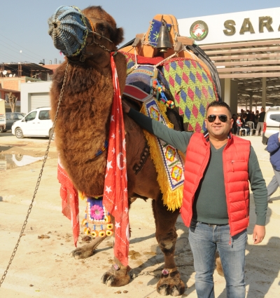  HOROZ İÇİN TELEFONUM 24 SAAT AÇIK