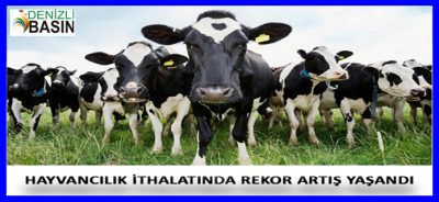 İTHALAT YÜKSELİRKEN İHRACAT SIFIRA İNDİ