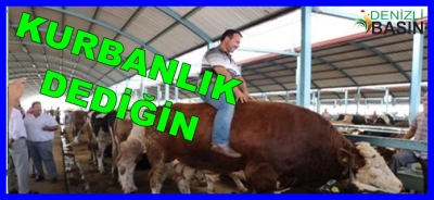 KURBANLIK DEDİĞİN !