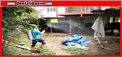 MERKEZEFENDİ’DE İLAÇLAMA ÇALIŞMALARI ARALIKSIZ DEVAM EDİYOR