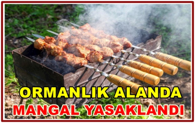 ORMANLIK ALANDA MANGAL YASAKLANDI