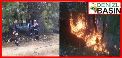 PAMUKKALE BELEDİYESİ EKİPLERİ ORMANI YANMAKTAN KURTARDI