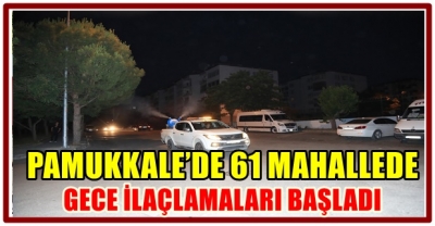 PAMUKKALE’DE 61 MAHALLEDE GECE İLAÇLAMALARI BAŞLADI