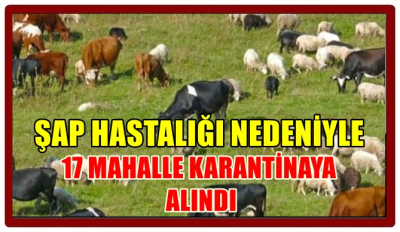  Şap Hastalığı Nedeniyle 17 Mahalle Karantinaya Alındı