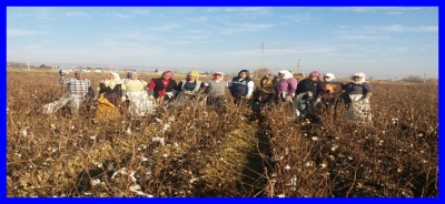 Sarayköy Belediyesi Tarlalarda Çalışan Vatandaşlara da Ulaşıyor