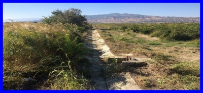 Sarayköy Saray Sulama Birliği’nden Çiftçilerin Yüzünü Güldüren Proje
