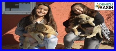 Sarayköy’ün Minikleri Sokak Hayvanları İçin Seferber Oluyor