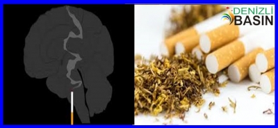  Snus, Çok Yoğun Nikotin Yüklemesi Yapıyor