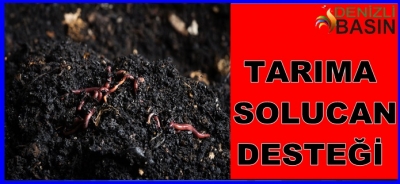 TARIMA SOLUCAN DESTEĞİ