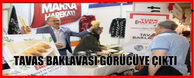 TAVAS BAKLAVASI GÖRÜCÜYE ÇIKTI