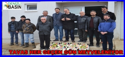 TAVAS HER GEÇEN GÜN MEYVELENİYOR