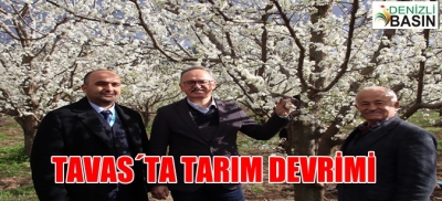 TAVAS'TA TARIM DEVRİMİ