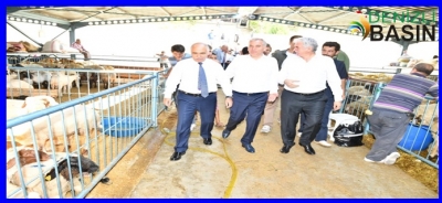 Vali Karahan Canlı Hayvan Pazarında İncelemelerde Bulundu