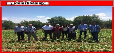 ÇÖZÜM PATATES SOĞAN İTHAL ETMEKTE DEĞİL